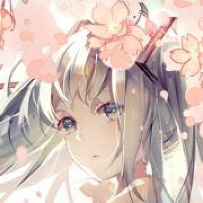 花主人连夜换警示牌